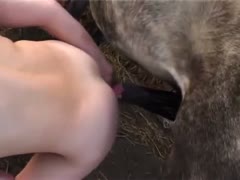 A slender girl who is hooked to animal cocks engages in amateur zoophilia pussy penetration.